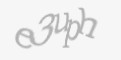 Защитный код