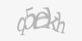 Защитный код