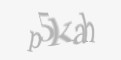 Защитный код