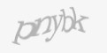 Защитный код