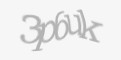 Защитный код