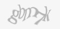 Защитный код