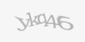 Защитный код