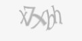 Защитный код