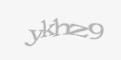 Защитный код