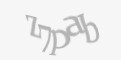 Защитный код