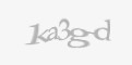 Защитный код