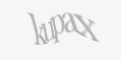 Защитный код