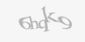 Защитный код