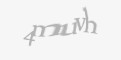 Защитный код