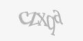 Защитный код