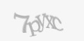 Защитный код