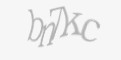 Защитный код