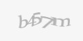 Защитный код
