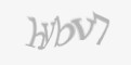 Защитный код